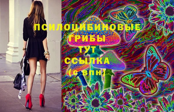 стафф Белоозёрский